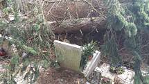 Škody na náchodském hřbitově, které způsobil nedávný silný vítr, uhradí majitelům hrobů město.