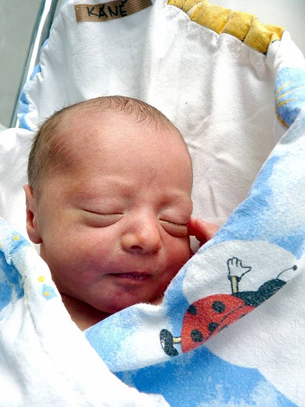 ROMAN KÁNĚ se narodil 9. července 2013 v 7.47 hodin s váhou 3090 gramů a délkou 49 centimetrů. S rodiči Kateřinou Káňovou a Romanem Kuglerem mají domov v Jaroměři.