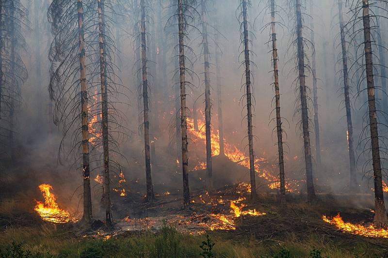 Z obrázků z Hřenska je všem ještě větší horko. V oblasti jsou nasazeny stovky hasičů s desítkami kusů techniky. Do pomoci se zapojil i HZS KHK, odřad s 13 profesionálními hasiči a zásahovou technikou dorazil v úterý po poledni na místo.