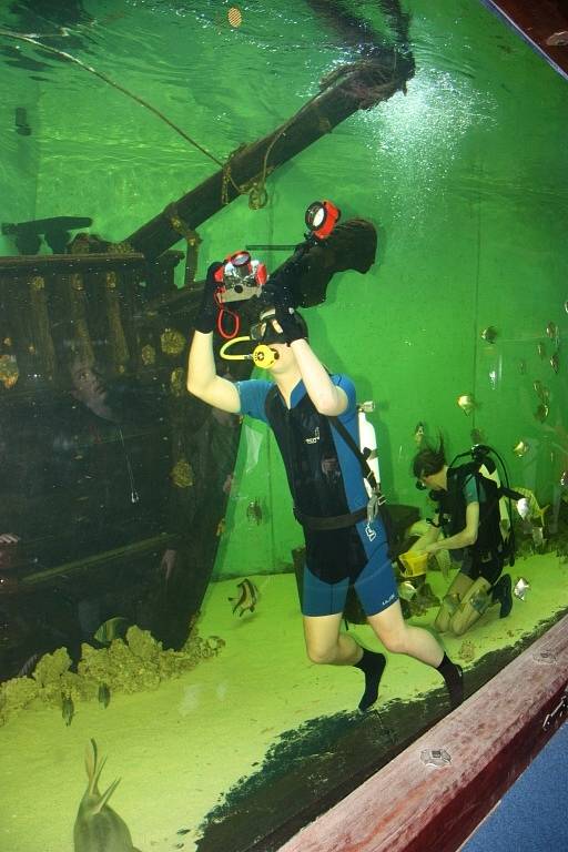 Potápění v akváriu pražských Holešovic.