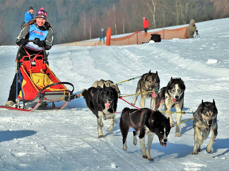 17. ročník saňových závodů psích spřežení v Janovičkách.