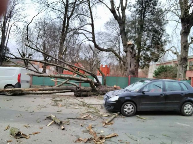 V Hořicích spadl strom na dvě osobní auta.