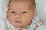 TEREZA MÍKOVÁ se narodila 28. dubna 2014 v 0:22 hodin s váhou 3405 g. S rodiči Dagmar a Tomášem bydlí v obci Velký Vřešťov, kde se na sestřičku těší pětiletý Tomášek. 