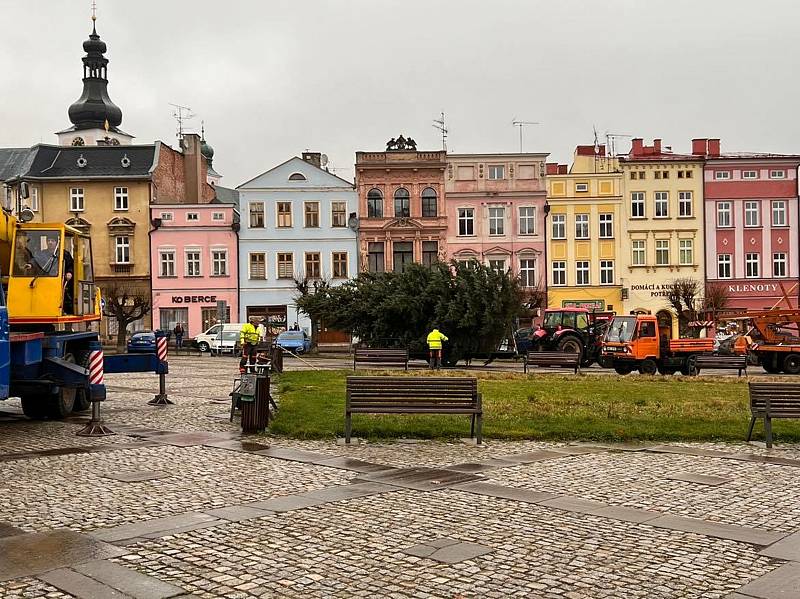 Na Mírovém náměstí v Broumově od dnešní deváté hodiny stojí vánoční jedle. Na výzdobu si musí ale ještě počkat do pondělí.