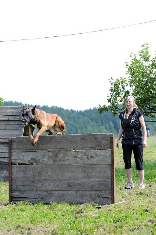 MEZINÁRODNÍ OBRANÁŘSKÝ ZÁVOD prověřil souhru psovodů a jejich psích mazlíčků.