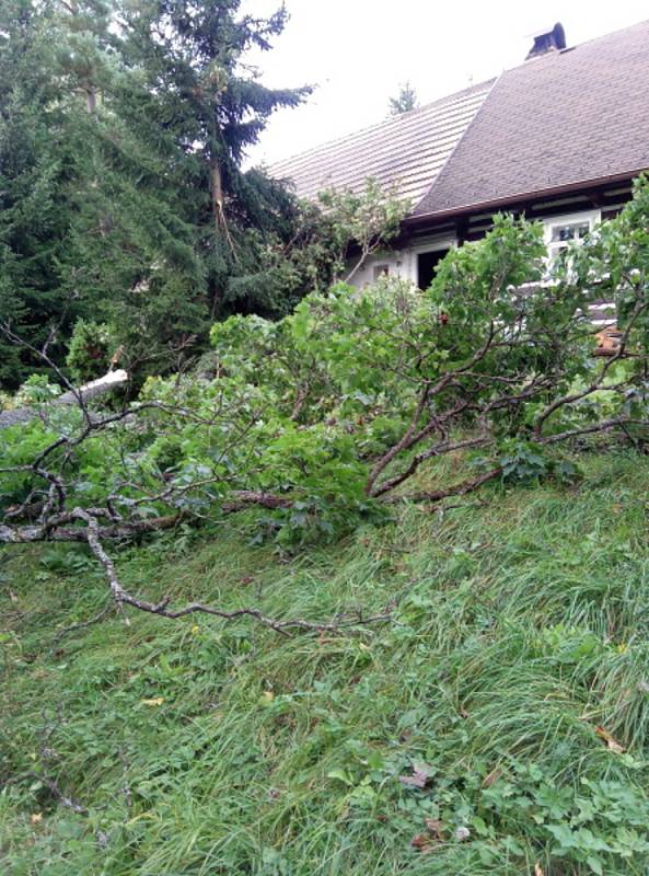 Stromy na Rychnovsku popadaly do elektrického vedení i na chatu.