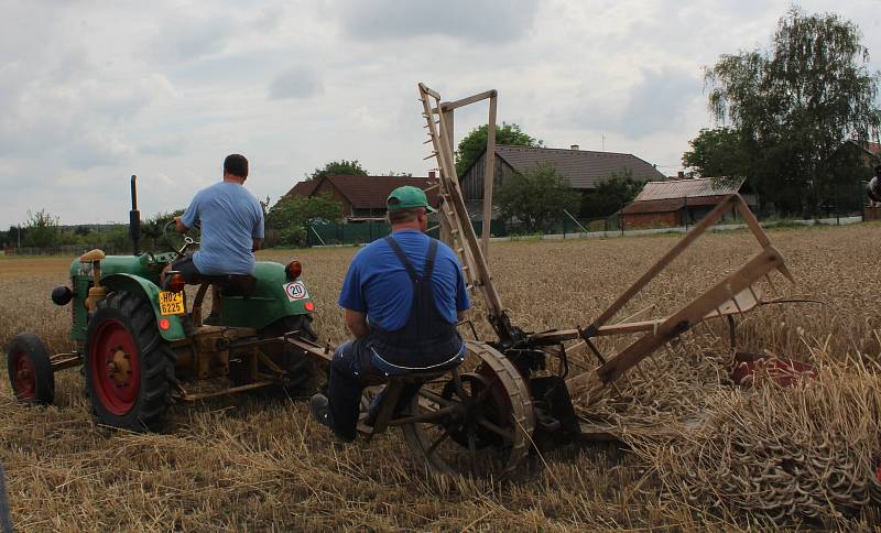 Ze Skršické brázdy, která připomíná, jak obhospodařovali svou půdu naši dědové.