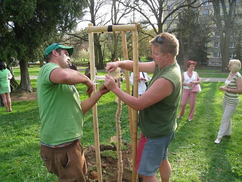 Dámský Lions Club Dobromila  s předstihem podpořil  Den Země a v parčíku u kaple Proměnění Páně v Rychnově nad Kněžnou vysadil jinan dvoulaločný. 