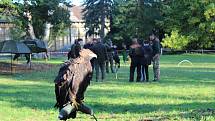 Sokolníci s dravci slavnostně zahájili setkání v Opočně.