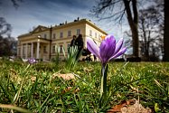Jaro v zámeckém parku v Kostelci nad Orlicí.