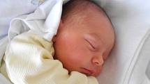 Eliška Veverková se narodila a poprvé vykoukla na svět 15. 1. 2021 v 9:09 hodin. Vážila 3 020 g. Hrdí rodiče Lenka a Jaroslav Veverkovi jsou z Dolní Rovně. Tatínek to u porodu zvládl skvěle.