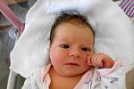 AMÁLKA FALTOVÁ se narodila 9. června v 17.35 hodin. Měřila 52 cm a vážila 3570 g. Nejvíce potěšila své rodiče Janu Vaněčkovou a Miloše Faltu z Hodkovic. Tatínek byl mamince u porodu velkou oporou a zvládl to perfektně.