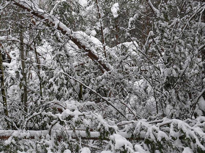 Zima 2010, poslední lednový týden na Rychnovsku