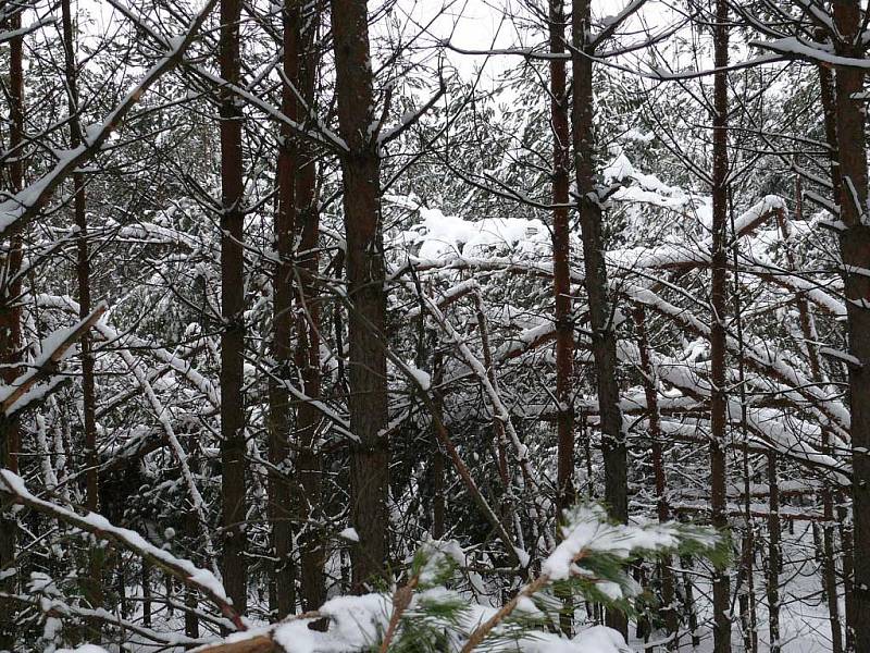 Zima 2010, poslední lednový týden na Rychnovsku