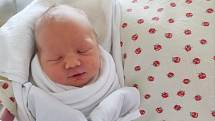 BÁRA HOMOLKOVÁ se narodila 20. září v 10.54 hodin. Vážila 3670 g. Velkou radost udělala svým rodičům Ivaně a Robinovi Homolkovým z Potštejna. Doma se těší sourozenci Tonička a Mety. Tatínek byl u porodu báječnou oporou.