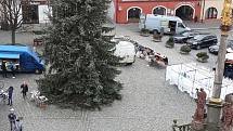 Na náměstí F. L. Věka už stojí. Vánoční strom pro Dobrušku rostl v Pohoří.