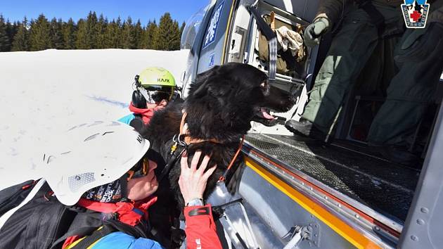 Životy zachraňuje po pádech lavin, při pátracích akcích hledá se svým psem lidi, kdekoli je potřeba. Úspěchy sbírá i na mezinárodních závodech záchranářů v evropských velehorách. Kynolog horské služby Jan Hepnar je doma v Deštném v Orlických horách.