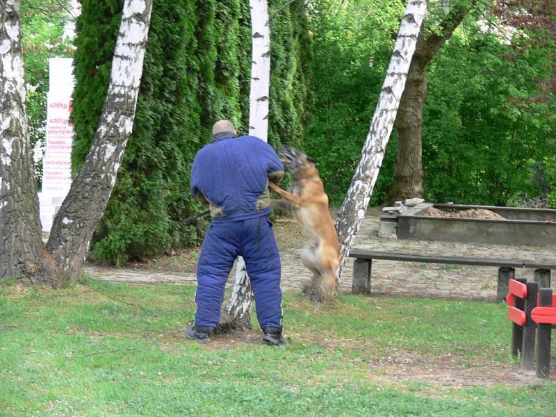 Velitel městské policie Rychnov nad Kněžnou Miloš Friml byl s kolegy a služebním psem vyprávět o své práci dětem v Mateřské škole Láň.