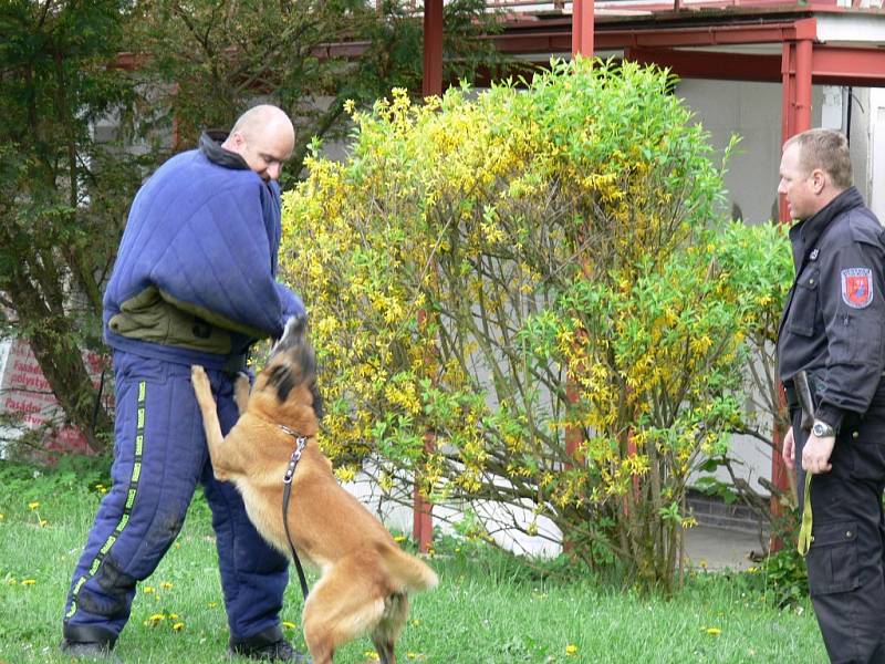 Velitel městské policie Rychnov nad Kněžnou Miloš Friml byl s kolegy a služebním psem vyprávět o své práci dětem v Mateřské škole Láň.