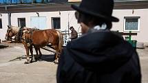 Skupina Black Burinos projela Rychnovem nad Kněžnou, v době karantény tak zahrála občanům z pojízdného pódia.