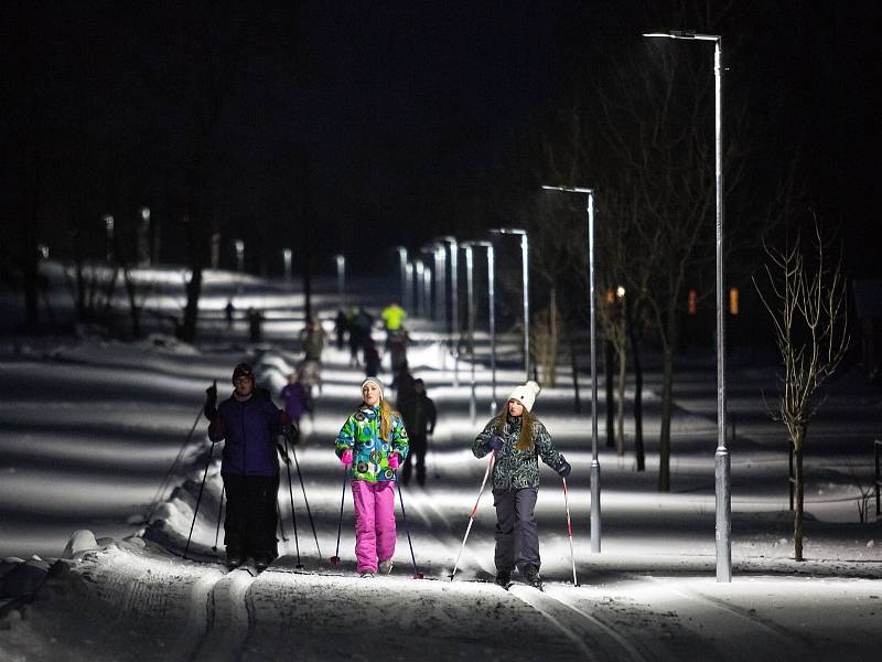 Osvětlená trať pro běžkaře v Orlickém Záhoří.