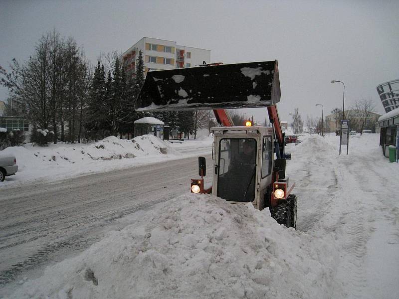 Bobek v akci na rychnovském sídlišti Mírová.