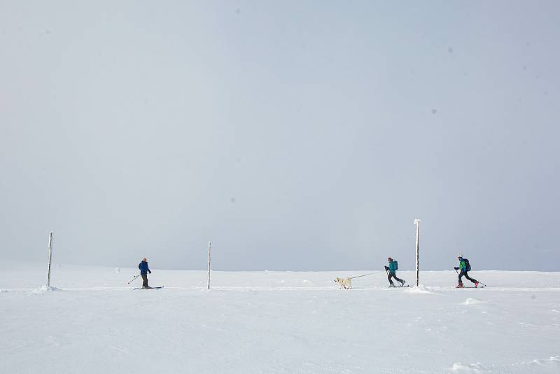 Skialpinisté v Krkonoších a Orlických horách.