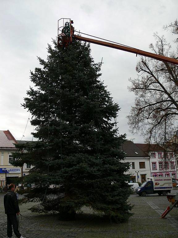 Vánoční smrk na rychnovském Starém náměstí má již instalované osvětlení.