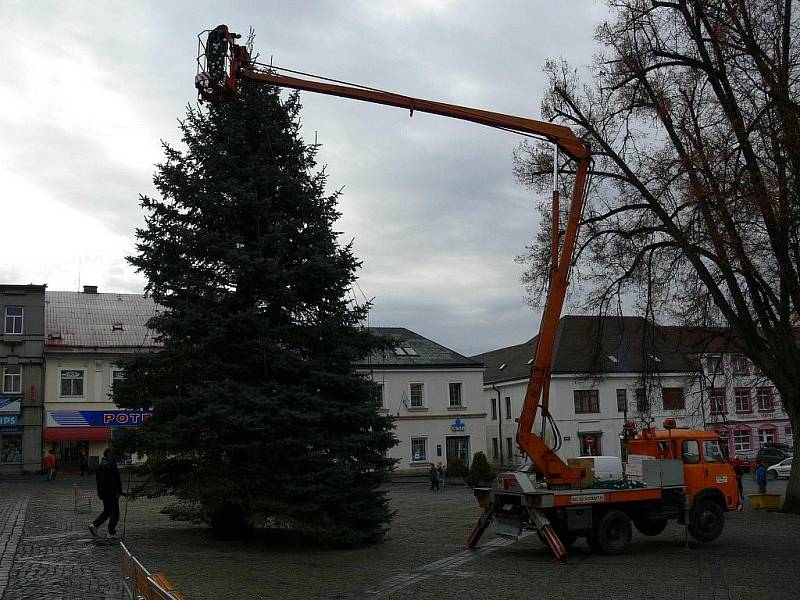 Vánoční smrk na rychnovském Starém náměstí má již instalované osvětlení.