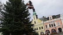Vánoční smrk na rychnovském Starém náměstí má již instalované osvětlení.
