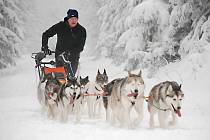 ŠEDIVÁČKŮV LONG patří k nejtěžším závodům v Evropě. Od roku 2002 je jedním ze série čtyř extrémních závodů psích spřežení o titul Iron Sled Dog Man. Ostatní tři závody této prestižní série se konají v alpských zemích
