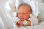 ANETA NOSKOVÁ se narodila 3. prosince v 9.44 h. Měřila 51 cm a vážila 3400 g. Potěšila své rodiče Michaelu a Jakuba Noskovy z Javornice. Doma se těší bráška Matoušek. U porodu vše společně zvládli na jedničku.