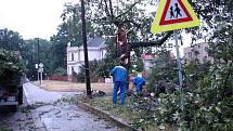 Strom v Dobrušce odlízeli v pátek ráno. 