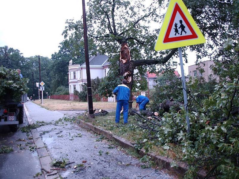 Strom v Dobrušce odlízeli v pátek ráno. 