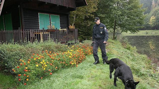 POLICISTÉ A PSI se včera tiše a nenápadně pohybovali po chatových osadách a oblastech s rekreačními objekty.  Hlídky zjišťovaly, jak jsou chalupy zabezpečené . Právě tyto policejní  akce jsou jedním z faktorů, který vede ke snížení  počtu  vloupání. 