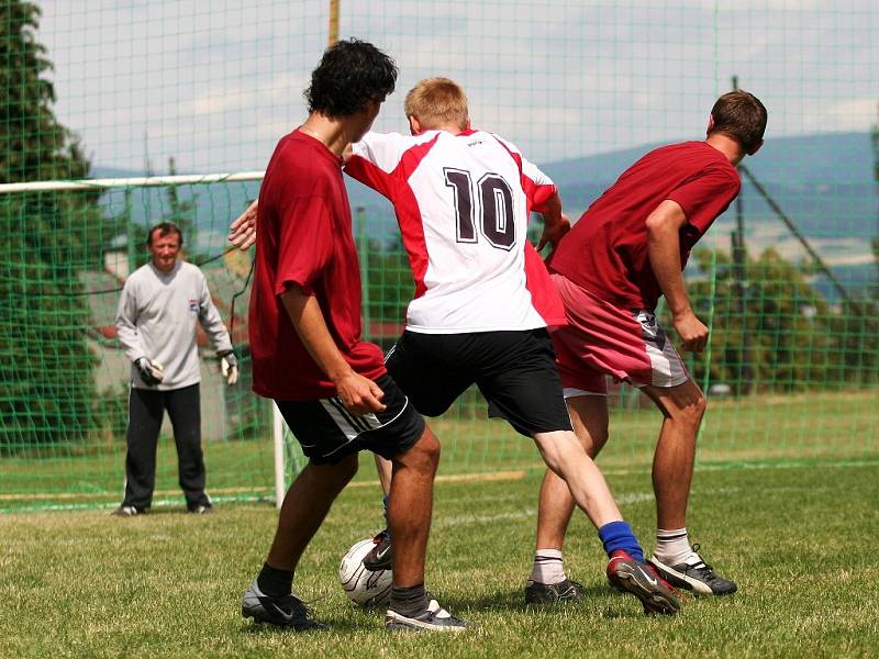 Vršovan Cup 2007