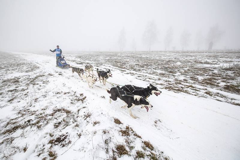 Šediváčkův long odstartoval. Mushery čeká 200 kilometrů Orlickými horami