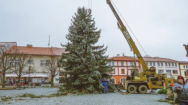 Vánoční strom pro Dobrušku rostl v Pohoří.