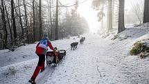 Šediváčkův long odstartoval. Mushery čeká 200 kilometrů Orlickými horami