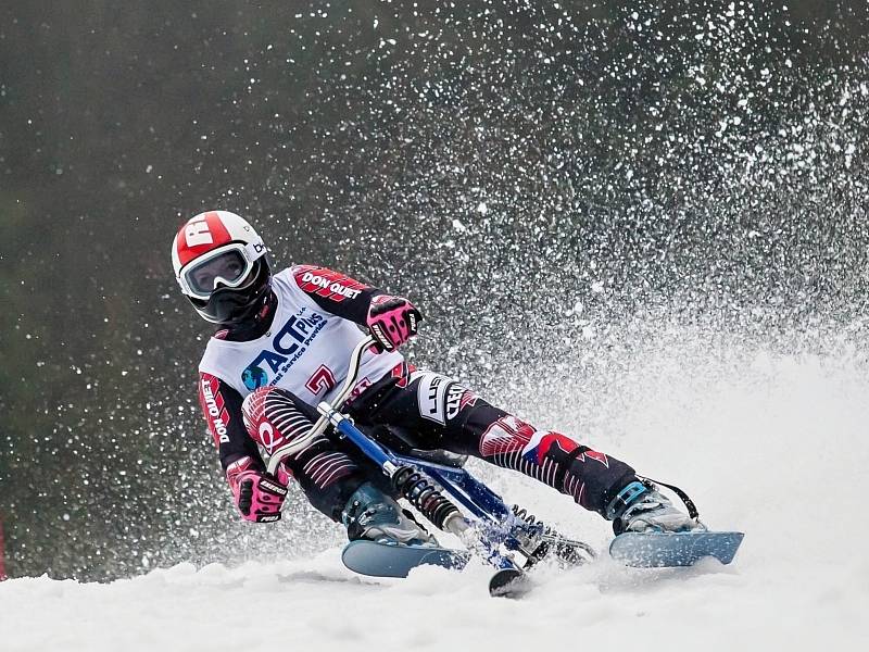 Z mistrovství světa v jízdě na skibobech 2016 v Deštném v Orlických horách. 