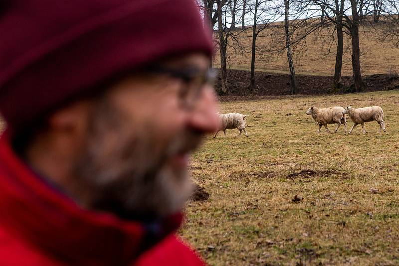 Chovatel Mach ze Šedivin je jedním z největších chovatelů ovcí v oblasti. V roce 2020 zaznamenal dva útoky na ně.