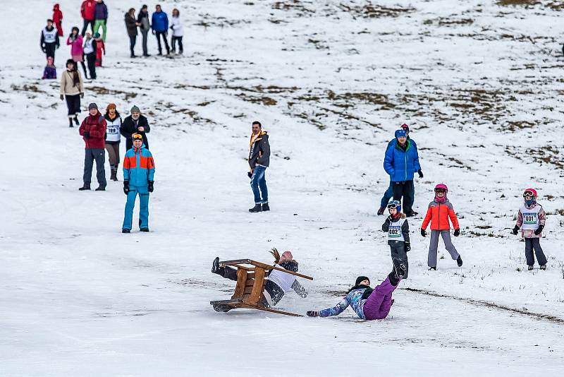 Závody saní rohatých v Orlickém Záhoří.