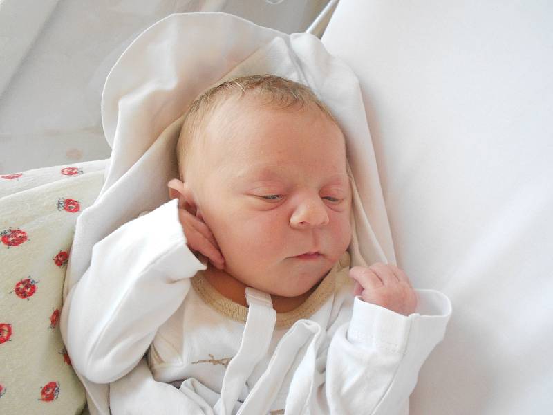 NELA ZÍTKOVÁ se narodila 5. ledna ve 13.35 hodin. Měřila 47 cm a vážila 2640 g. Velmi potěšila své rodiče Markétu a Michala Zítkovy z Rychnova nad Kněžnou. Doma se těší sourozenci Martin a Laura.