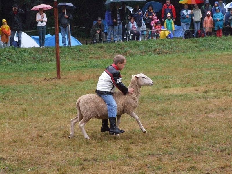 Kovbojové se střetli s Indiány.