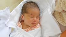 Valerie Bezvodová se narodila 5.1. 2021 v 14:58 hodin. Vážila 3 030 g a měřila 50 cm. Těšili se na ni rodiče Gabriela Hovorková a Lukáš Bezvoda z Sadové. Tatínek byl u porodu.