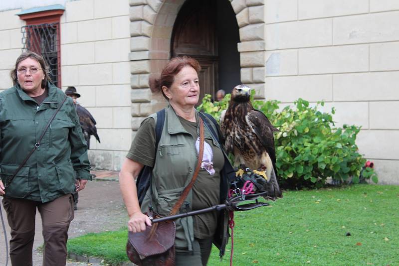 Ze zahájení Národního sokolnického setkání v Opočně s mezinárodní účastí