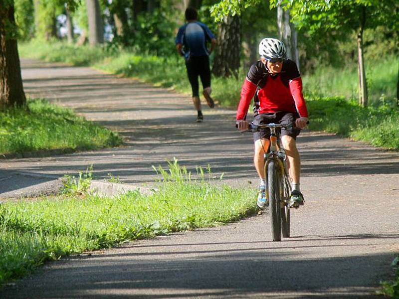 Město Jihlava letos zainvestuje do cest pro cyklisty. Ilustrační foto.