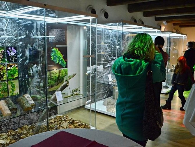 Rokytnické muzeum Sýpka se těší velkému zájmu návštěvníků.