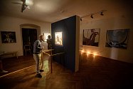 Výstava originálů obrazů Františka Kupky v Opočně