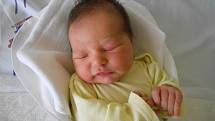 VIKTORIE ZEMANOVÁ se narodila 16. září 2020 v 7.56 hodin Vendule a Václavovi Zemanovým z Pekla. Miminko si na svět přineslo váhu 3 450 g a 51 cm délky. Tatínek u porodu nechyběl.